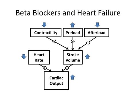 heart failure beta blockers|Beta blockers in heart failure .